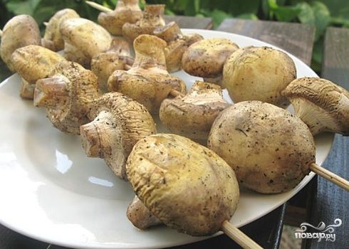 Шампиньоны на рисунках Шампиньоны на рисунках