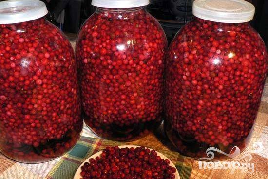 Моченая брусника