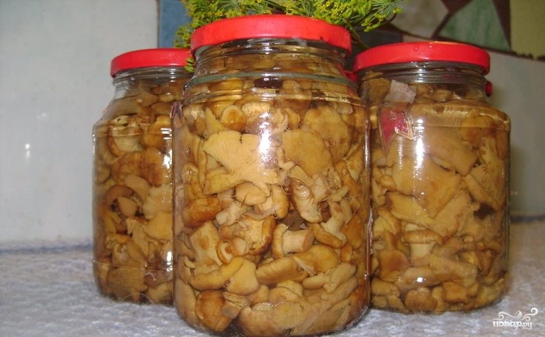 Смотреть Маринованные грузди - рецепты с фото на Повар.ру (10 рецептов маринованных груздей) видео Смотреть Маринованные грузди - рецепты с фото на Повар.ру (10 рецептов маринованных груздей) видео