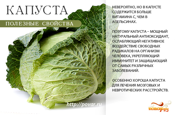 полезные свойства брюссельской капусты для организма человека полезные свойства брюссельской капусты для организма человека