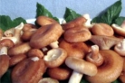 Волнушки отварные