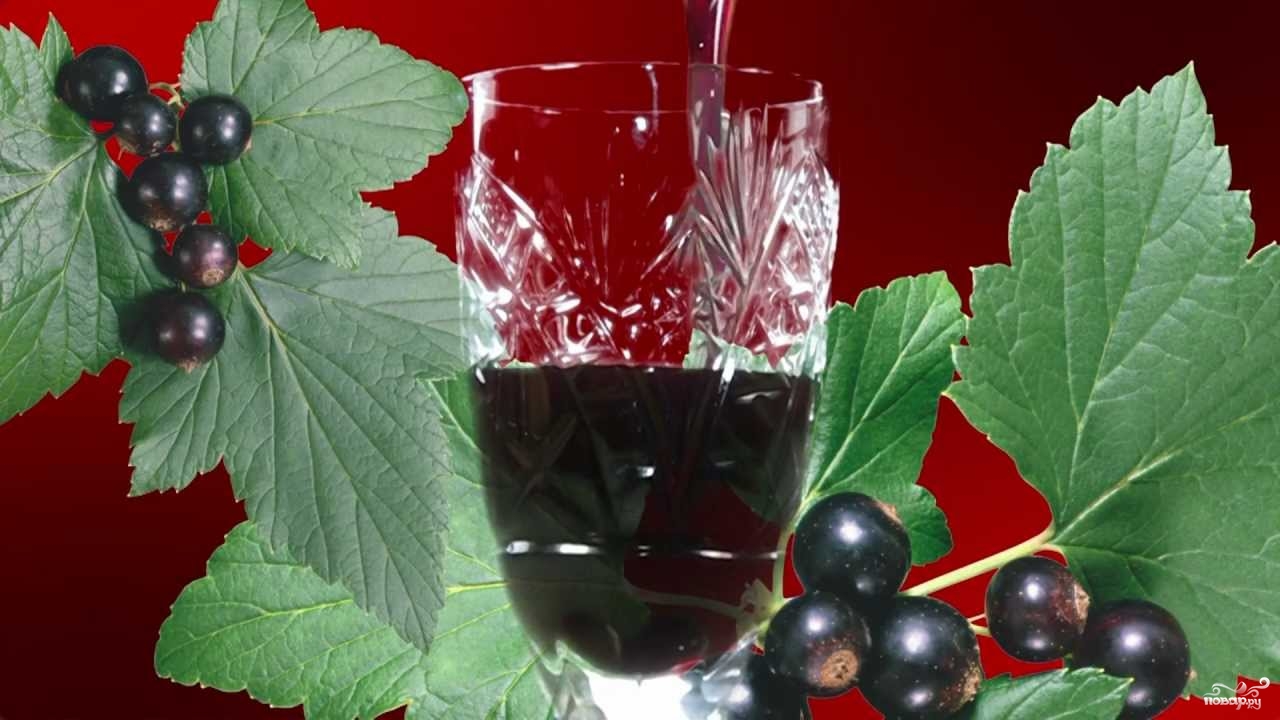 Алкогольные напитки из смородины в домашних условиях Алкогольные напитки из смородины в домашних условиях