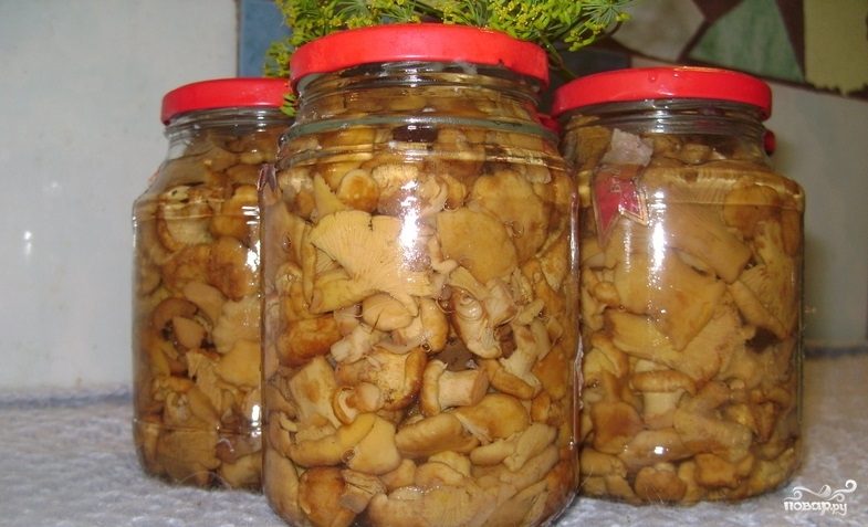 лисички рецепты приготовления маринованные