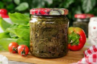 Заготовка щавеля на зиму