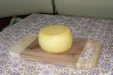 Сыр белорусский в домашних условиях