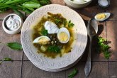 Зеленые щи из щавеля