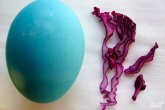 Крашеные яйца капустой (синие)