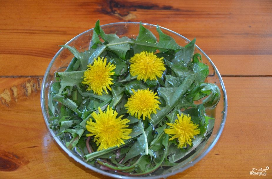 Одуванчик лекарственный применение цветков рецепты с фото простые