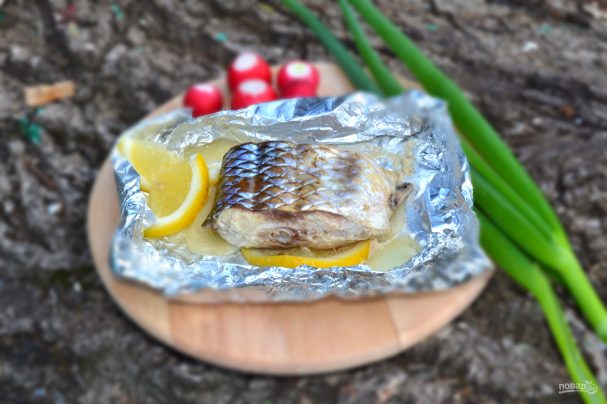 Рыба на мангале на решетке рецепт с фото какая лучше