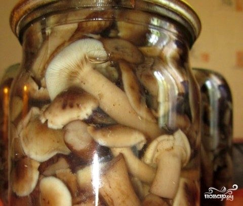 грибы маринованные рецепт на зиму с уксусом