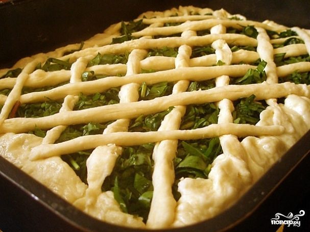Пирог с щавелем простой рецепт без дрожжей в духовке рецепт с фото пошагово