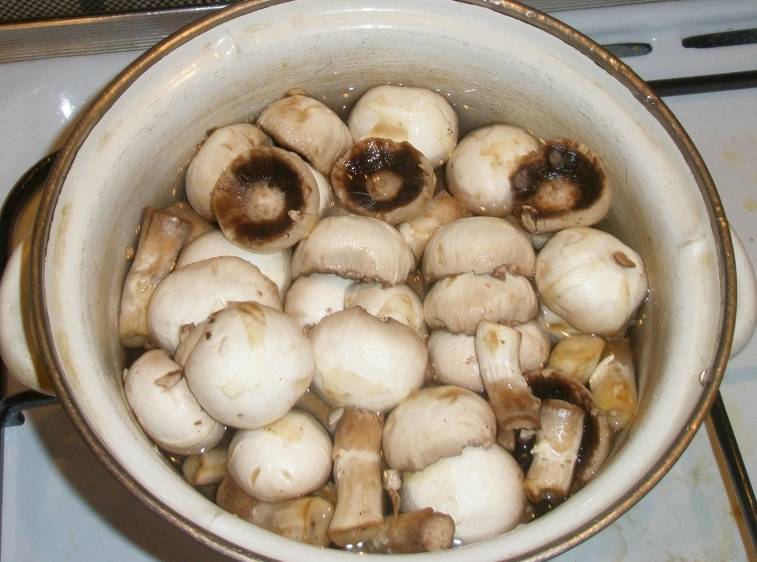 Для начала промываем грибы, выкладываем их в кастрюлю и заливаем водой, солим ее немного и варим шампиньоны в течение 10 минут. 