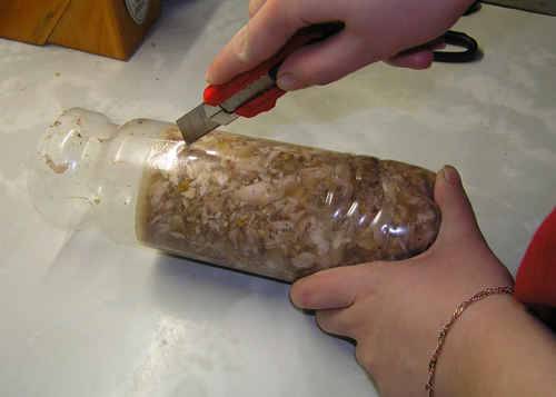 7. К мясу можно добавить грецкие орехи и репчатый лук, предварительно их обжарив на растительном масле. Итак, когда рулет застынет, разрезаем аккуратно бутылку и освобождаем его.