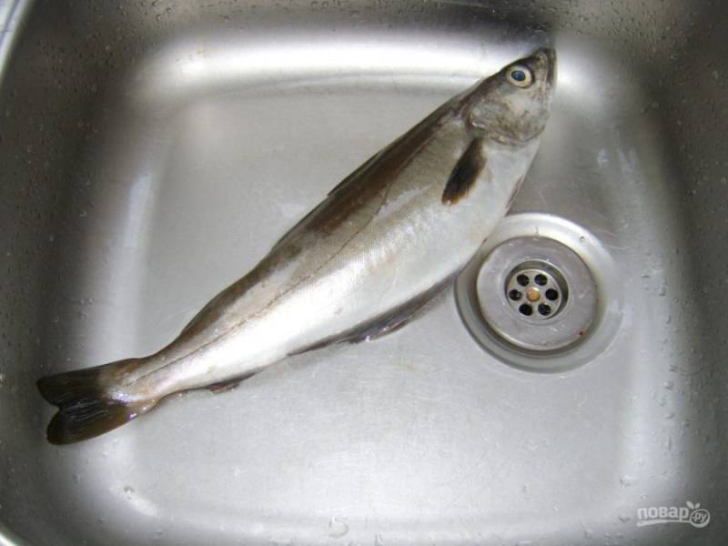 1.	Первым делом выложите рыбку в мойку, наденьте перчатки, чтобы удобно было держать рыбу. Возьмите нож и по направлению от хвоста к голове счистите мелкие чешуйки, промойте рыбу.