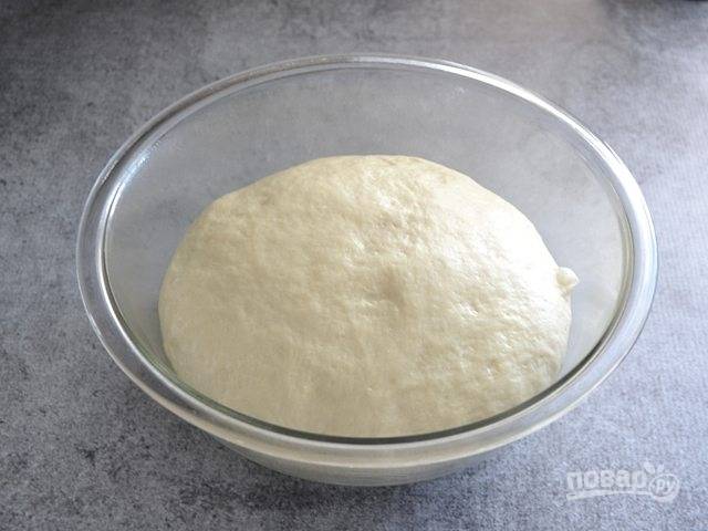 2.	Хорошенько перемешайте тесто деревянной ложкой, затем вымесите его вручную. Поместите тесто в смазанную растительным маслом миску, накройте крышкой и оставьте на 1-1,5 часа. 