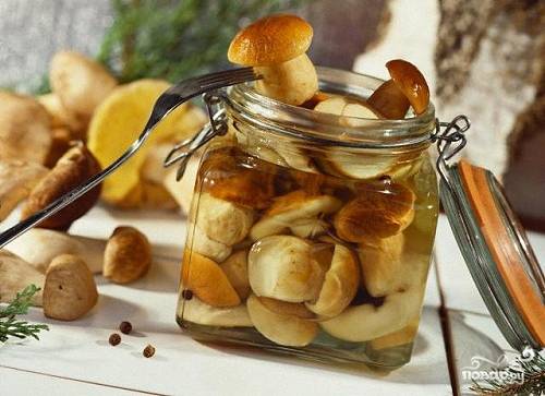 📖 Рецепты из белых грибов - как приготовить в домашних условиях - Дикоед
