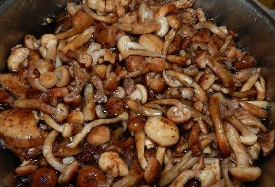 Рецепты из грибов на ужин