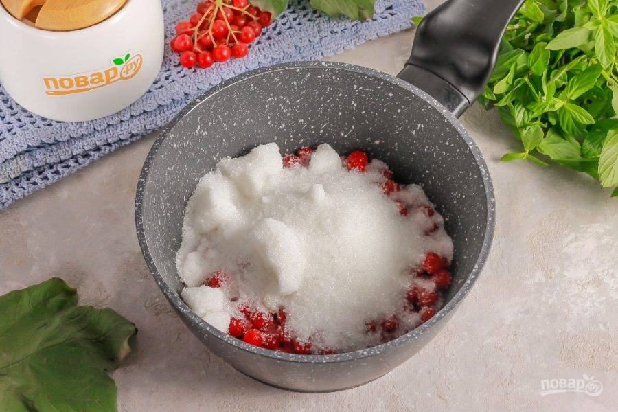 Приготовление калины с сахаром. Приготовление калины с сахаром