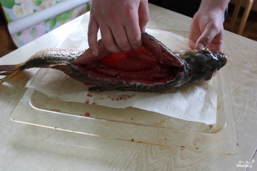 Для того, чтобы достать из рыбы внутренности, вам необходимо взять самый острый и тонкий нож и сделать надрез вдоль хребта на спине так, чтобы прорезать ребра. Выпотрошите сазана. Будьте очень осторожны, чтобы не порезать руки об острые реберные кости. 