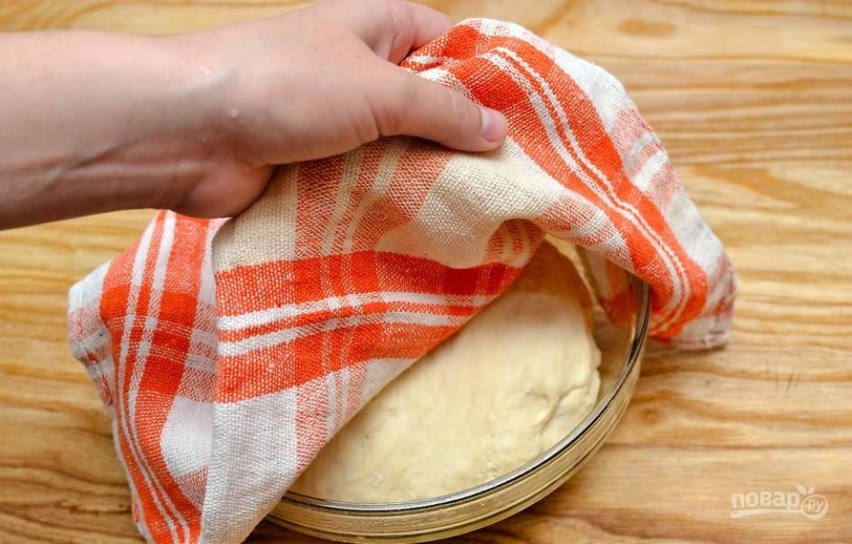 9.	Поместите тесто в смазанную маслом емкость, накройте его полотенцем и оставьте на 1-1,5 часа.
