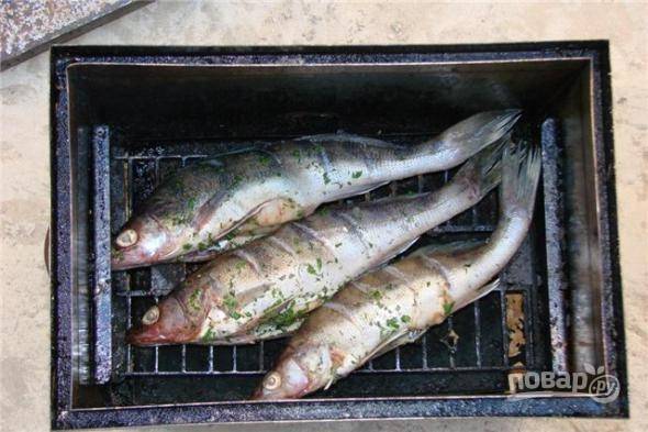 4. Оставьте рыбку минимум на пару часов. После чего подготовьте коптильню, выложите на дно щепки, а на решетку — рыбу. 