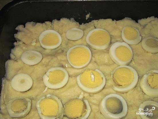 Возьмите форму или противень, в котором вы будете запекать блюдо. Смажьте его растительным масло, выложите сверху картофельное пюре. Посолите и поперчите. Отваренные вкрутую яйца очистите от скорлупы и нарежьте на кружочки. Выложите их поверх картофельного пюре. 