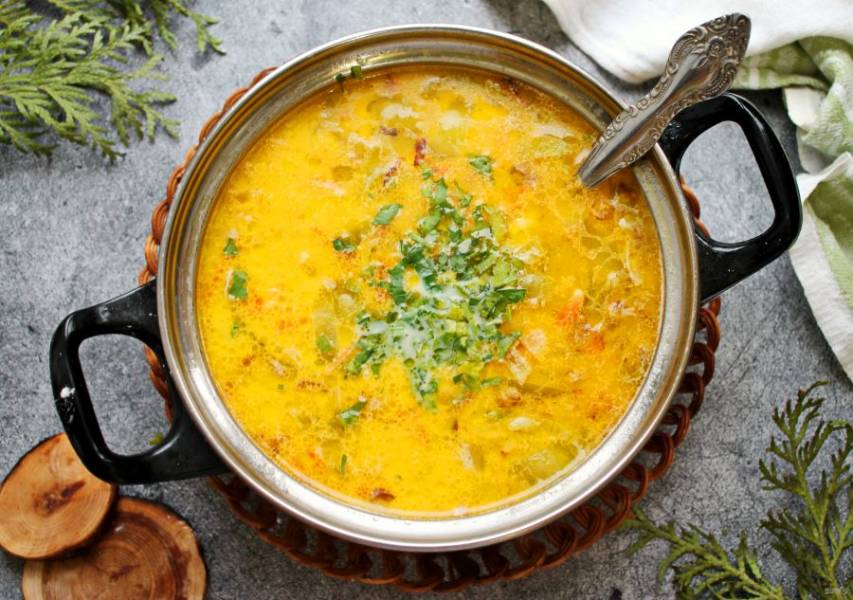 Сытный куриный суп с болгарским перцем