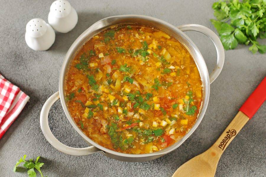 Щи с солеными огурцами и свежей капустой готовы. Дайте супу немного настояться и можно подавать к столу.