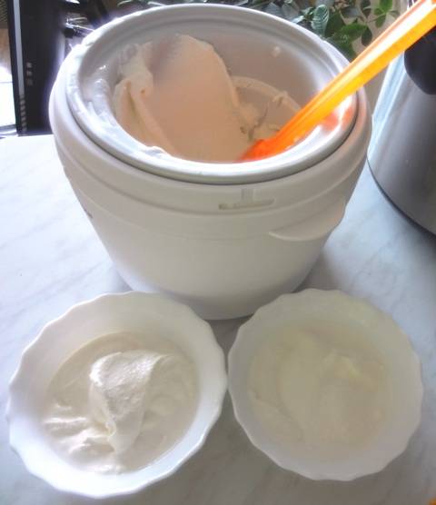 4. По истечении времени выкладываем массу в креманки. Рекомендуется отправить мороженое в морозильную камеру на пару часов (для получения оптимального результата).