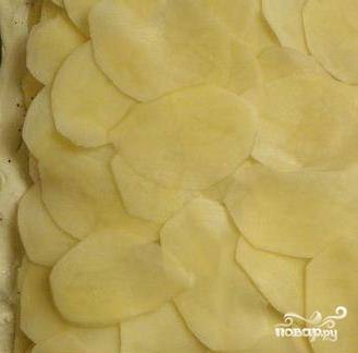 Раскатайте растаявшее тесто и разделите его на два пласта. Выложите на один из пластов нарезанный тонкими кружочками картофель. Сделайте это так, чтобы не осталось зазоров. 