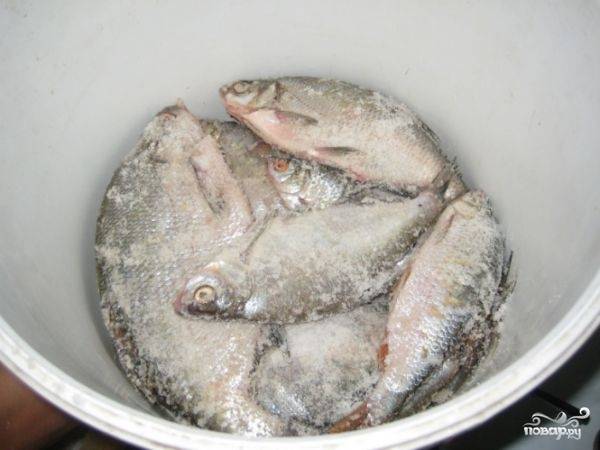 Сколько солится рыба в домашних