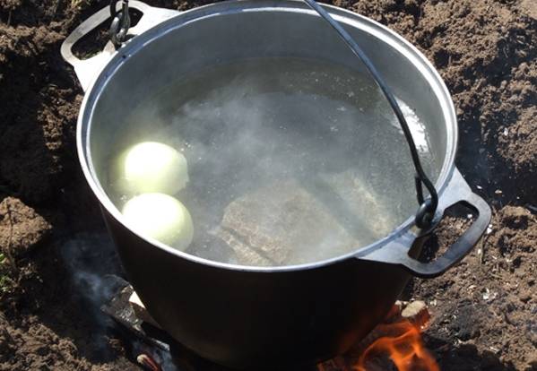 В кипящую воду кладем две луковицы.