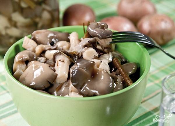 Как приготовить вкусные и правильно грибы вешенки: советы и рецепты