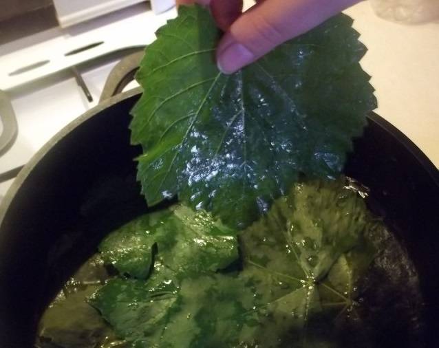 1. Промойте виноградные листья в холодной воде  и выложите по одному в кипящую подсоленную воду.
