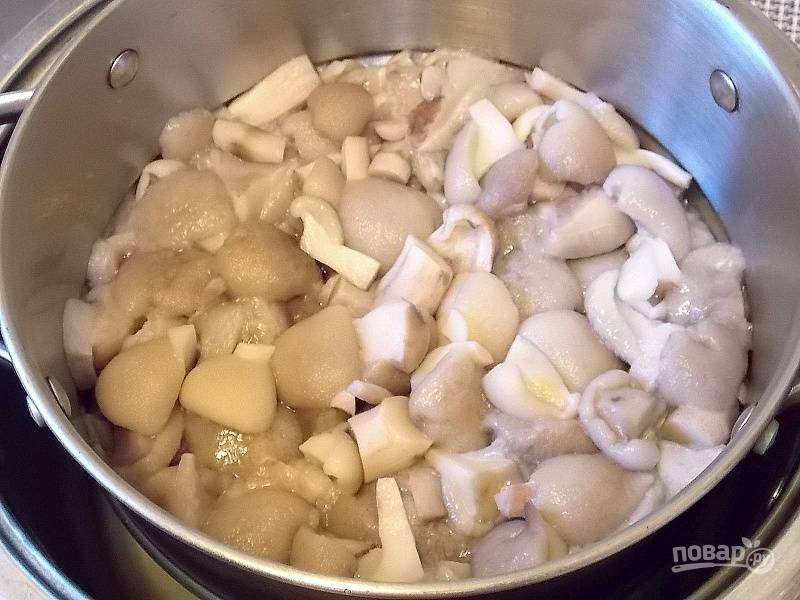 Вылейте содержимое в дуршлаг, дайте стечь отвару и хорошо промойте грибы под холодной водой. Дайте стечь воде.