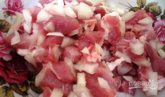 Мясо мелко нарежьте. Добавьте к нему нарезанный лук, специи и соль.