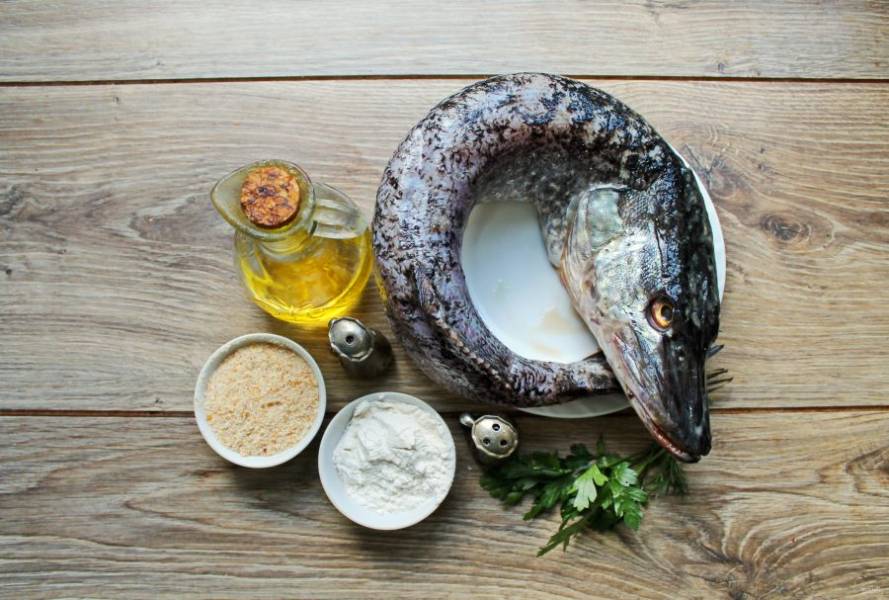 Щука на сковороде — рецепты приготовления жареной и тушеной рыбы