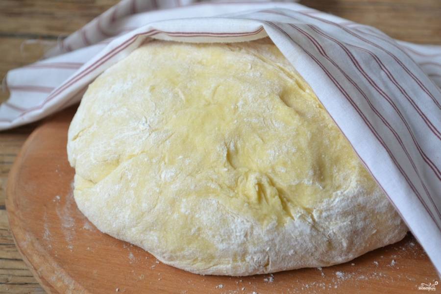 Дрожжевое тесто для пирожков рецепт с фото, как приготовить на ростовсэс.рф