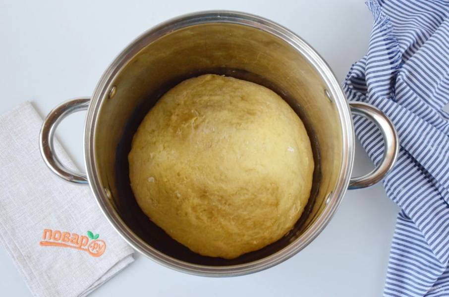 Выложите тесто в большую миску или кастрюлю, оно будет хорошо подниматься. Накройте салфеткой и уберите в тепло на 1 час.