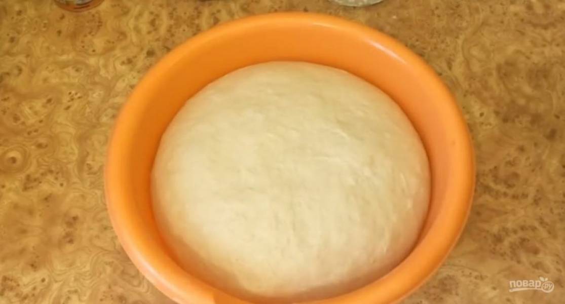 Округлите тесто, переложите в миску, смазанную растительным маслом и накройте пищевой пленкой. Оставьте тесто на 3-4 часа при комнатной температуре. 