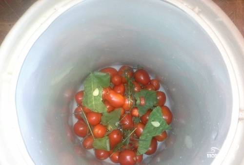 Теперь на слой томатов снова выложите зелень и добавьте зубчики чеснока. Повторяйте проделанные процедуры до тех пор, пока бочка не заполнится помидорами полностью. 