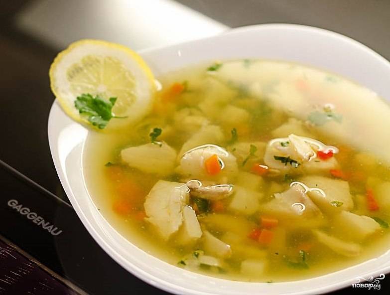 Прозрачные супы на мясном и рыбном бульонах, 56 рецептов