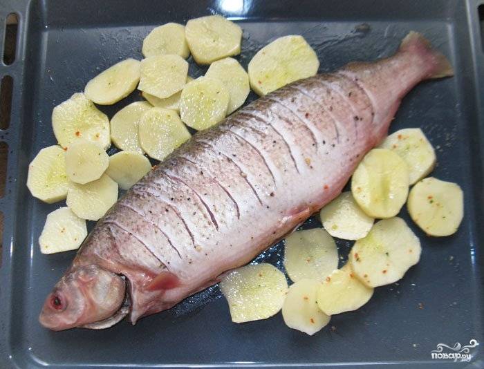 7. На смазанный маслом или застеленный пергаментом противень выложите рыбу. Рядом можно разместить картофель и другие овощи на гарнир. Отправьте в разогретую до 180 градусов духовку.