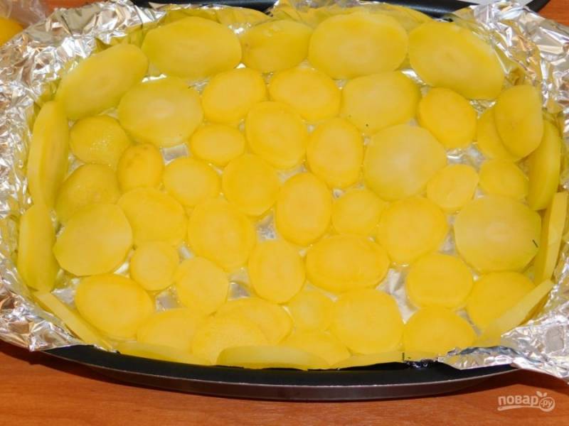 Форму для запекания смажьте сливочным маслом. Картофель нарежьте кружочками и выложите по дну и краям формы.