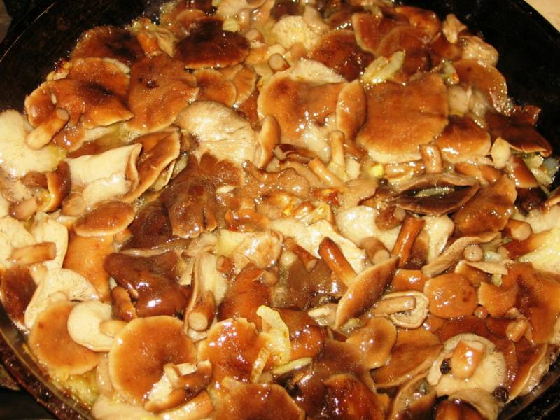 Выкладываем грибы на сковороду к луку и тушим все на медленном огне под крышкой в течение 15 минут, не забываем время о времени помешивать грибы.