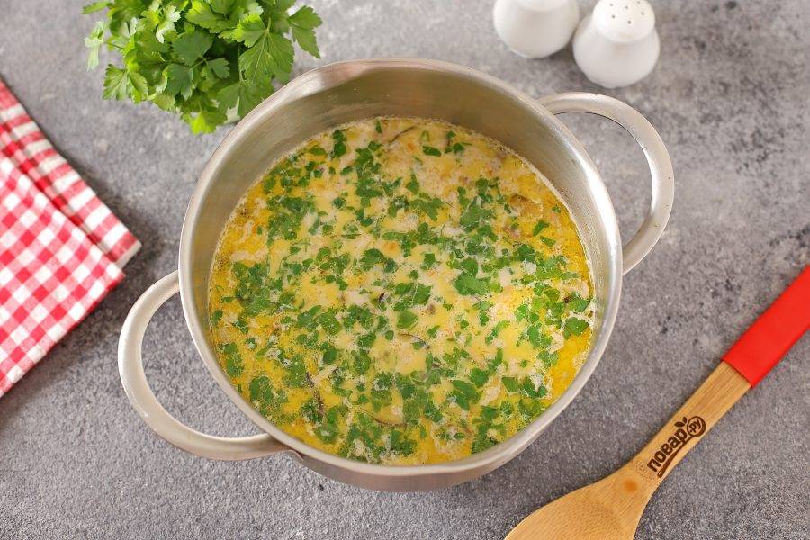 В конце, по желанию, в суп можно добавить любую свежую зелень.