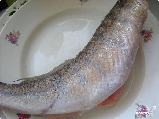 Судак, запеченный в рукаве рецепт 👌 с фото пошаговый | Как готовить рыбу и морепродукты
