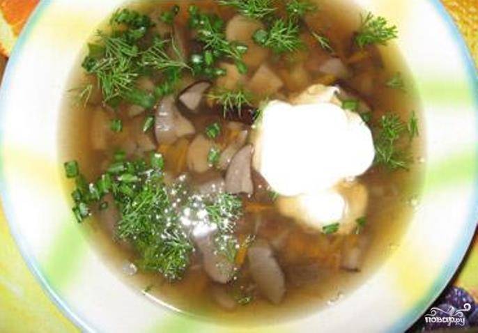 Суп из грибов подберезовиков  