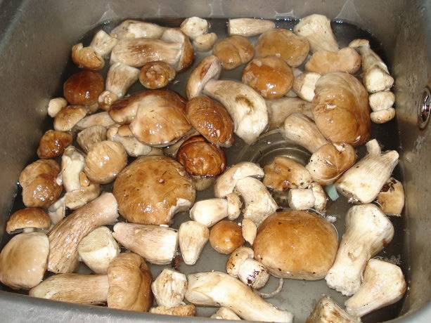 Замочите грибы минут на 30, чтобы отмокла лесная грязь. Затем промойте, очистите и порежьте на куски. 