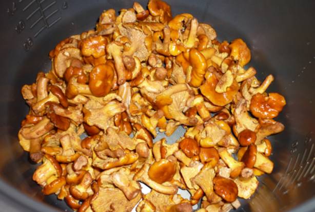Перекладываем грибы с луком в мультиварку, добавляем немного куриного бульона ,сметану и специи. Перемешиваем и выставляем режим "Тушение", готовим 1 час.